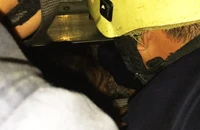 Bé trai 8 tháng tuổi mắc kẹt trong thang máy nhà dân ở Gò Vấp