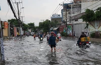 Mưa lớn, đường ngập, cây ngã khắp nơi ở TP.HCM
