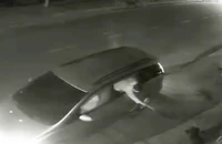 Tái diễn nạn đi trộm chó bằng ô tô ở vùng ven TP.HCM