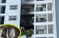 Nhân chứng: Thấy 2 mẹ con rơi lầu trong vụ cháy nhưng không làm gì được