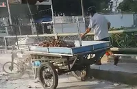 Người đàn ông bán rau củ phóng hỏa đốt phương tiện mưu sinh khi gặp trật tự đô thị
