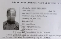 Nữ giáo viên bị nhóm youtuber đánh ở Gò Vấp bị thương tật 20%