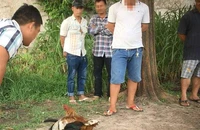 Cảnh sát từ đường thủy, bộ vây ráp trường gà cặp bờ Rạch Nước Lên