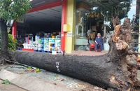 Mưa gió lớn, cây ngã la liệt, đường ngập, kẹt xe…