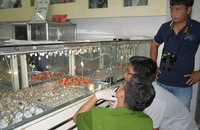 Truy xét vụ mất trộm 100 lượng vàng ngày mùng 8 Tết