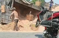 Xe tải chở mùn cưa lật trên Quốc lộ 22, giao thông ùn ứ