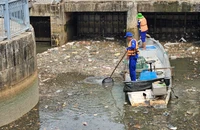 Mưa lớn, cá nổi hôm trước, hôm sau chết đầy kênh Nhiêu Lộc – Thị Nghè