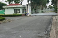 1 bảo vệ bị đồng nghiệp sát hại trước cổng công ty ở Củ Chi