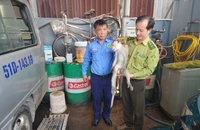 Kiểm lâm thổi thuốc gây mê, tiếp nhận 3 con khỉ ở TP.HCM