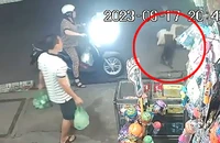 Bị cướp giật điện thoại, người phụ nữ ngã xuống đường và bị chó cắn