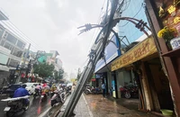 Trụ điện trung thế nghiêng đổ vào nhà dân trên đường Âu Cơ