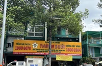 Thành Bưởi sẽ được cấp phép hoạt động trở lại khi thỏa các điều kiện