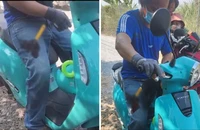 Vụ tài xế xanh SM bị cướp đâm dao vào chân là tự đâm để dối vợ