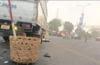 Công an tìm người chứng kiến vụ tai nạn khiến 2 chị em hơn 70 tuổi tử vong