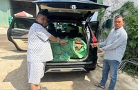2 người lái ô tô chở hơn 3 tạ pháo từ miền Tây lên TP.HCM giao