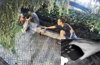 Công an TP.HCM phát cảnh báo về tội phạm dịp Tết
