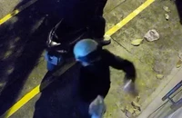 Tá hỏa phát hiện cửa hàng hoa bị xịt sơn, tạt mắm tôm ở Hóc Môn