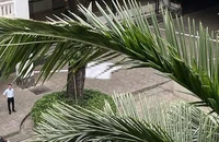 Nam thanh niên rơi lầu ở khuôn viên 1 trường đại học ở TP.HCM