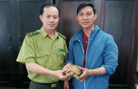 Người dân ở phường Thạnh Mỹ Tây và phường Bàn Cờ phát hiện 2 con rùa núi vàng khi tập thể dục