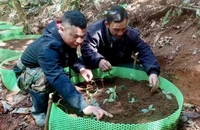 Một xã ở Quảng Ngãi không nhận hoa chúc mừng đại hội, kêu gọi ủng hộ cây giống giúp dân