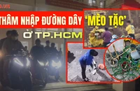 Trailer điều tra: Thâm nhập đường dây ‘mèo tặc’ ở trung tâm TP.HCM