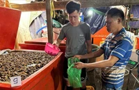 Triệt phá đường dây dùng 500 tấn 'thủy tinh lỏng' ngâm 3.000 tấn thịt ốc bươu
