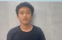 Lời khai của thanh niên vẽ bậy, rạch phá bảng thông tin ở rào chắn cầu đi bộ sông Sài Gòn