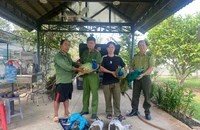 Nhiều người giao nộp chim công sau vụ một hộ nuôi loài chim này bị khởi tố