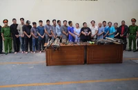 Chành cua 46 và 'luật ngầm' thao túng đường dây cua miền Tây về TP.HCM