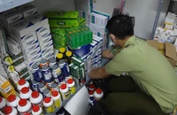 TP.HCM: Hàng ngàn hộp tân dược nghi nhập lậu trong 1 căn nhà