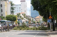 Cây gãy nhánh rơi trúng xe máy chở 3 người