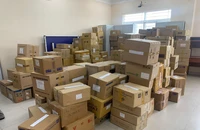 Phá đường dây sản xuất thuốc tân dược giả ở TP.HCM - Đồng Nai 