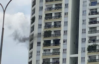Cháy căn hộ ở chung cư Flemington, quận 11