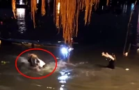 Xác minh clip xô xát giữa người phóng sinh cá và người chích điện ở sông Sài Gòn