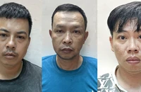 Khởi tố, bắt giam 3 người trong đường dây làm giả giấy tờ ở TP.HCM