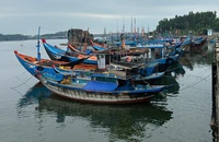 Quảng Ngãi yêu cầu tàu thuyền vào nơi tránh trú bão Trà Mi