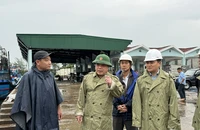 Quảng Ngãi đảm bảo người dân rời khỏi tàu thuyền, lồng bè trước khi bão Trà Mi vào