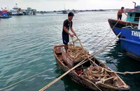 Quảng Ngãi hoãn các cuộc họp chưa cần thiết để tập trung phòng, chống bão Trà Mi