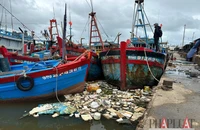 Hệ thống xử lý nước thải một số cảng cá ở Quảng Ngãi 'chết lâm sàng' vì thiếu kinh phí