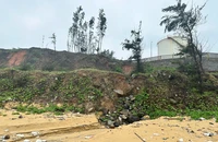 Sạt lở bờ biển đe dọa nhiều công trình ở Quảng Ngãi