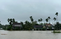 Cảnh báo lũ lụt, sạt lở, lũ quét ở Quảng Ngãi