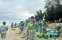Hơn 350 người ‘cứu’ bờ biển đẹp nhất Quảng Ngãi khỏi nguy cơ bị xóa sổ