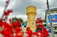Cận cảnh thủy đài cổ trăm năm tuổi ở Quảng Ngãi