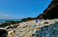 Rác thải bủa vây đảo Bé, huyện Lý Sơn không xử lý xuể