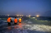 4 học sinh ở Quảng Ngãi mất tích khi tắm biển
