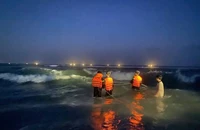 Giám sát các khu vực nguy cơ gây đuối nước sau vụ 4 học sinh mất tích khi tắm biển