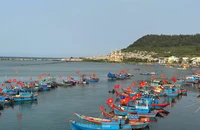 Quảng Ngãi: Lệnh cấm đánh bắt cá của Trung Quốc không có giá trị