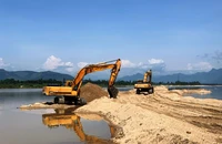 Giá cát tăng cao, thương nhân tỉnh ngoài đổ xô vào Quảng Ngãi mua cát