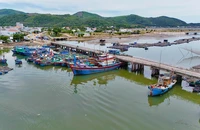 Cầu rệu rã sắp sập, ngư dân Quảng Ngãi vẫn liều mạng neo tàu