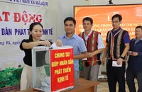 Vườn sâm Ngọc Linh bị bão tàn phá, bà con góp từng hạt sâm để khôi phục